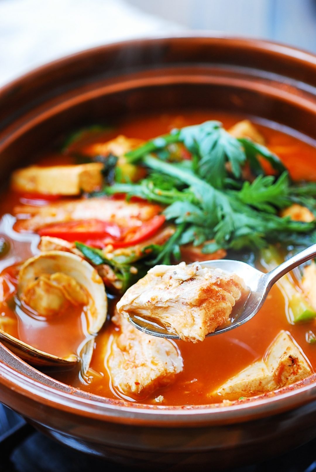 DSC 2725 2 e1613456389474 - Domi Maeuntang (Spicy Fish Stew with Red Snapper)