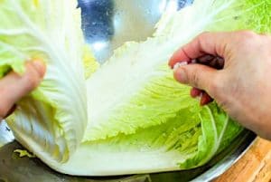 salting cabbage